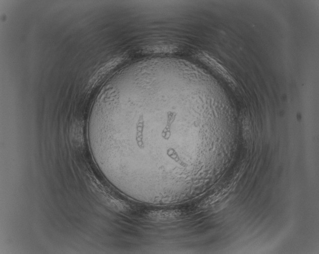 X0000077280537200611031528