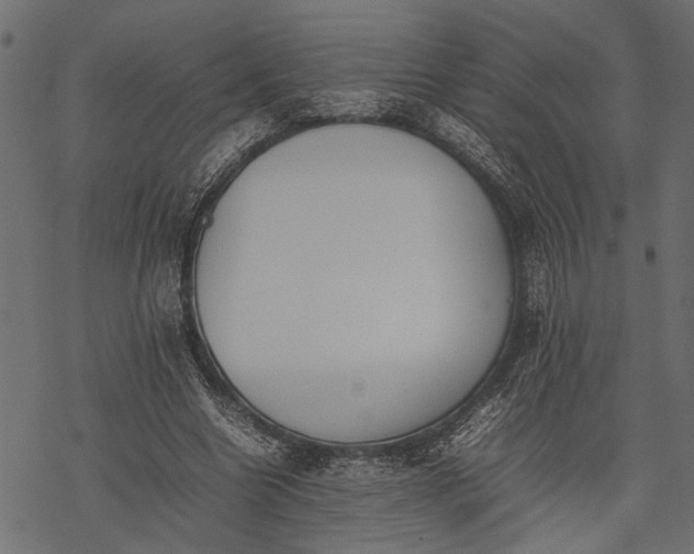 X0000077280538200611031528