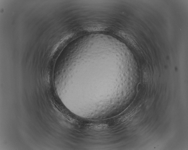 X0000077280539200611031528