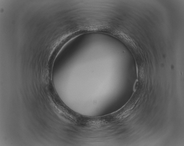 X0000077280540200611031528