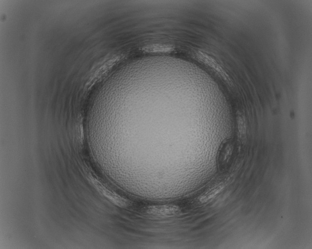 X0000077280541200611031528