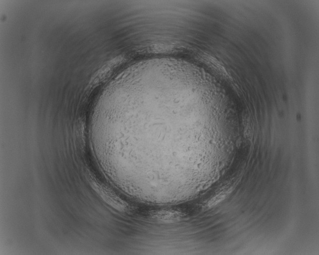 X0000077280542200611031528