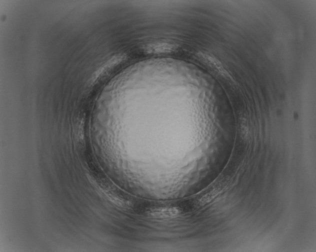 X0000077280543200611031528