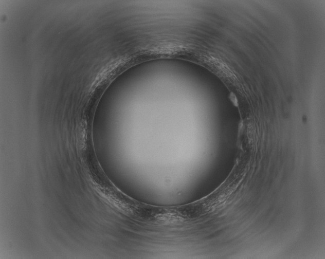 X0000077280544200611031528