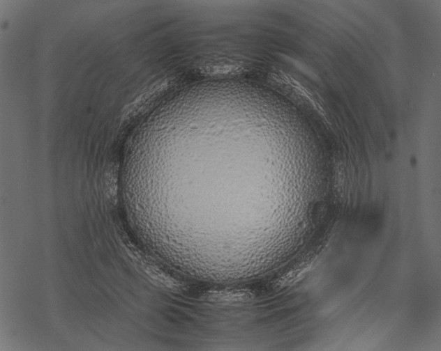 X0000077280545200611031528