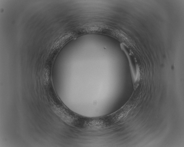 X0000077280546200611031528