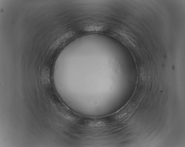 X0000077280547200611031528