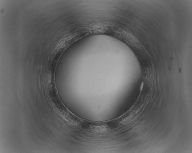 X0000077280548200611031528