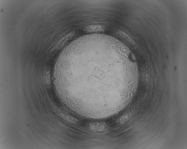 X0000077280549200611031528