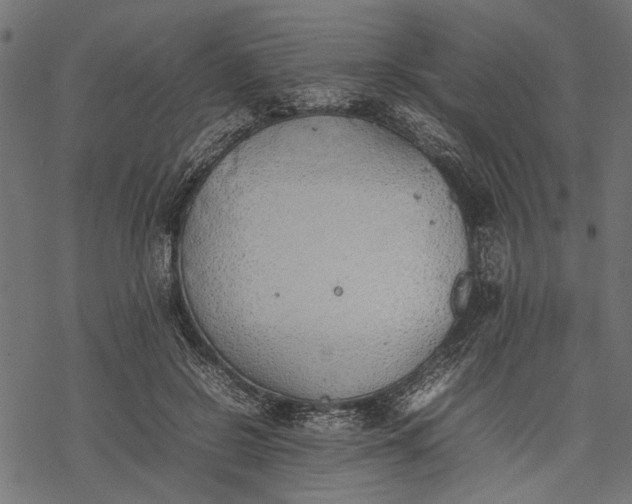 X0000077280550200611031528