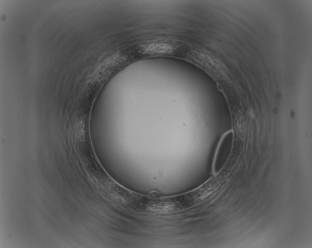 X0000077280551200611031528