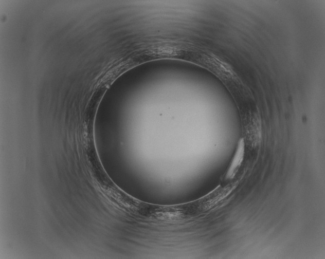 X0000077280552200611031528