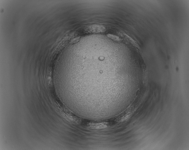 X0000077280553200611031528