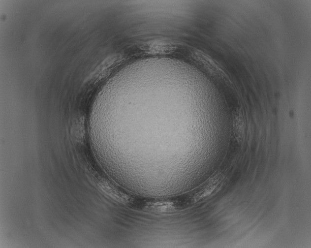 X0000077280554200611031528