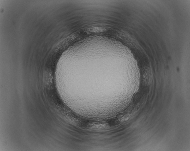 X0000077280555200611031528