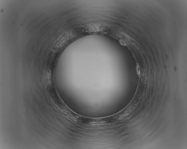 X0000077280556200611031528