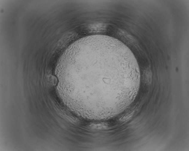 X0000077280557200611031528