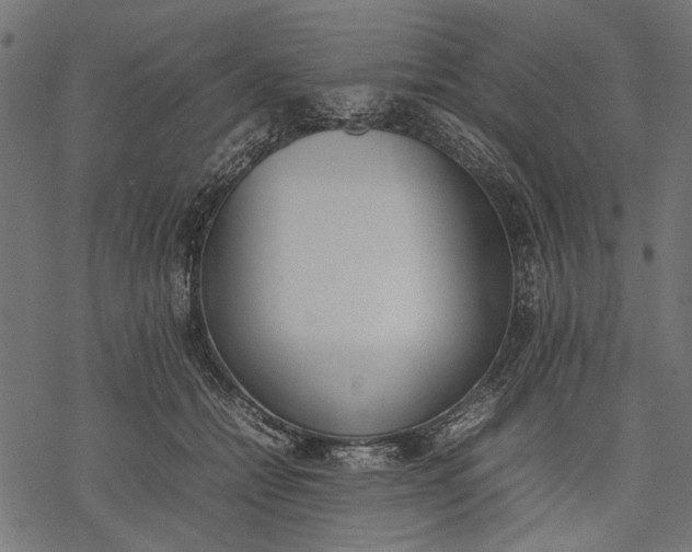 X0000077280558200611031528