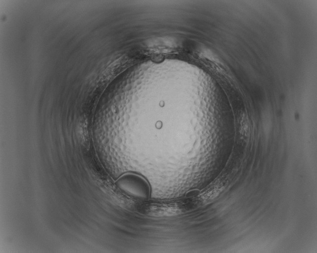 X0000077280559200611031528