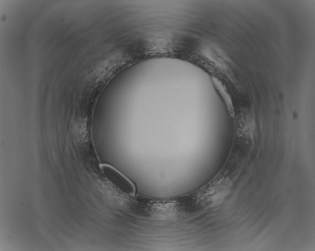 X0000077280560200611031528