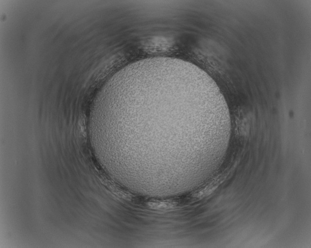 X0000077280561200611031528