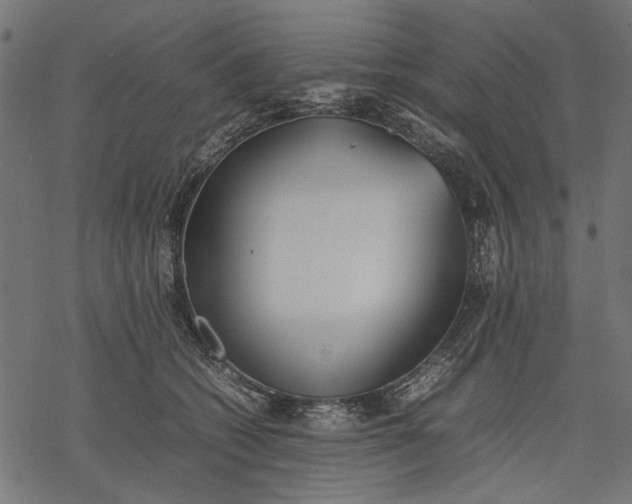 X0000077280562200611031528