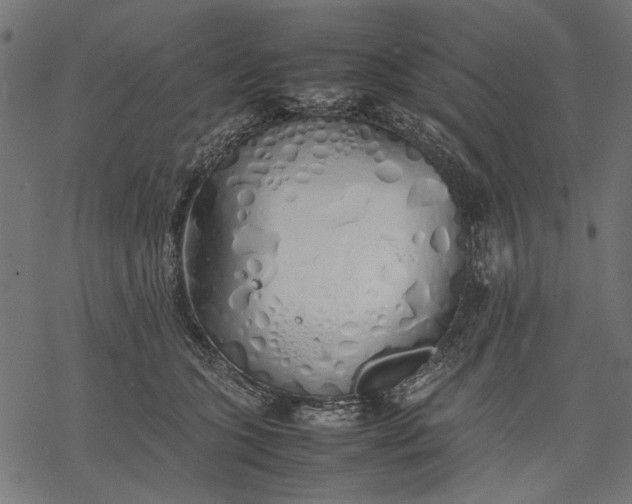 X0000077280563200611031528