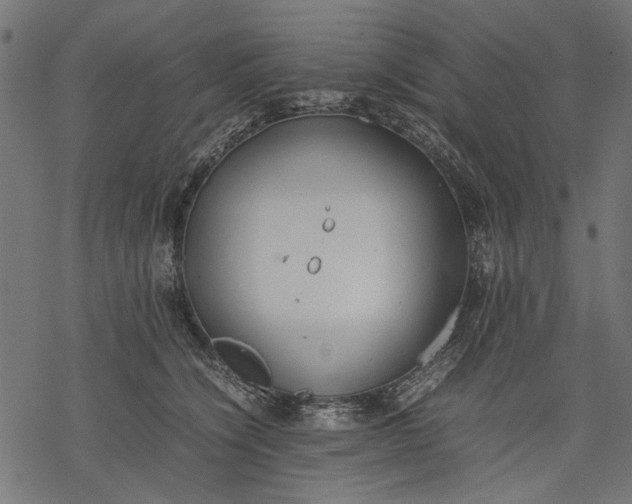 X0000077280564200611031528