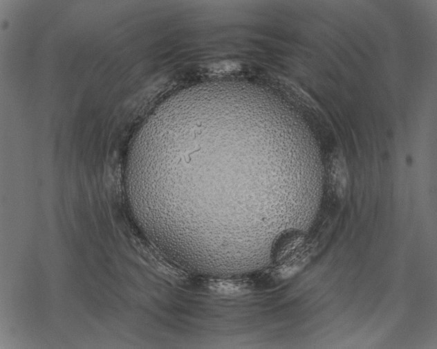 X0000077280565200611031528