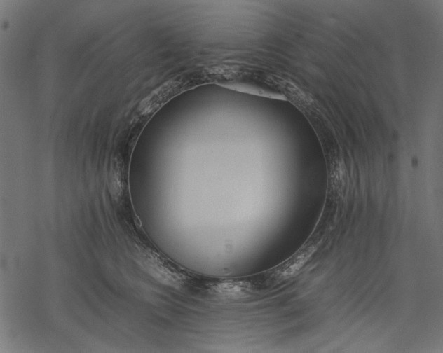 X0000077280566200611031528