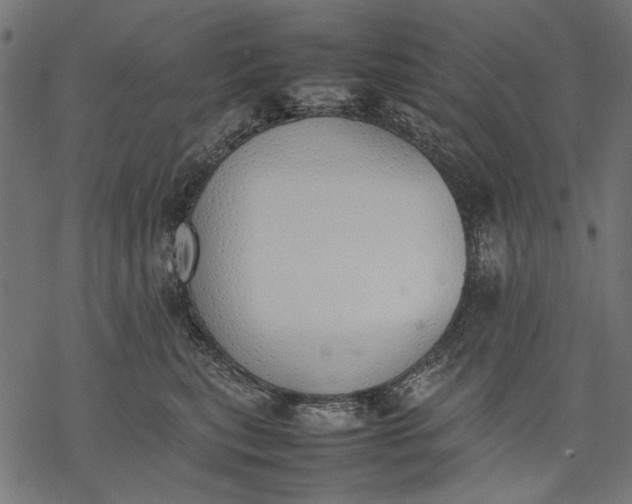 X0000077280567200611031528