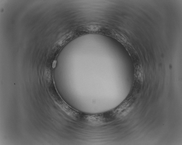 X0000077280568200611031528