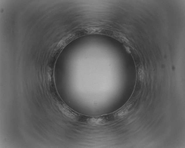 X0000077280570200611031528