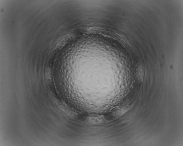 X0000077280571200611031528