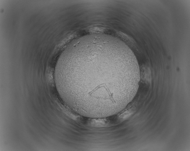 X0000077280573200611031528