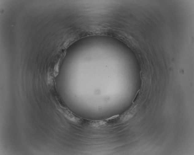 X0000077280576200611031528