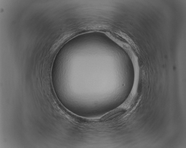 X0000077280577200611031527