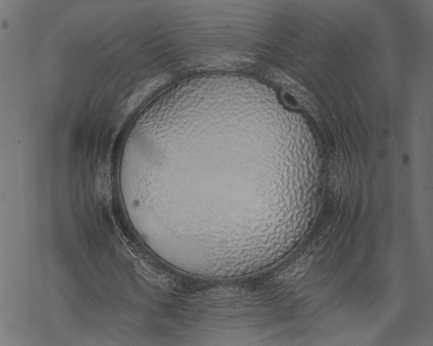 X0000077280578200611031527