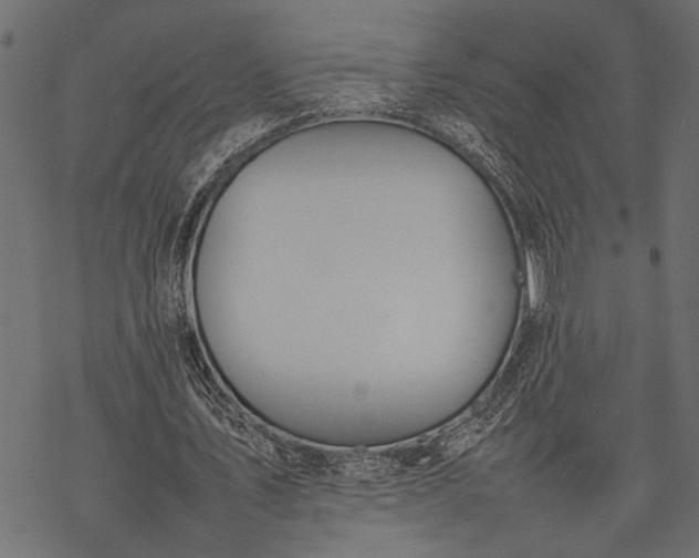 X0000077280579200611031527