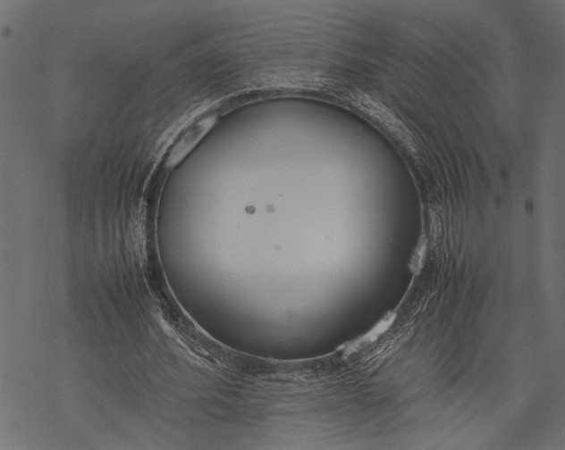 X0000077280580200611031527