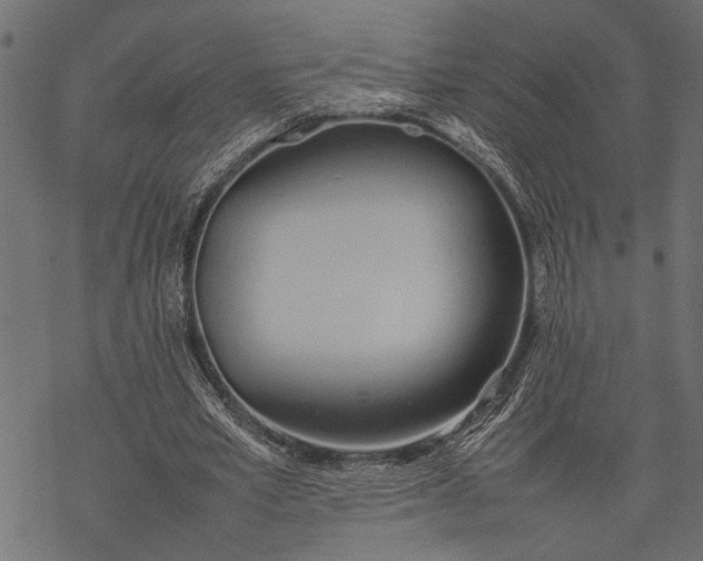 X0000077280581200611031527