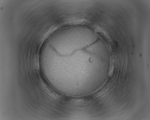 X0000077280582200611031527