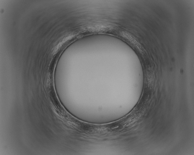 X0000077280583200611031527