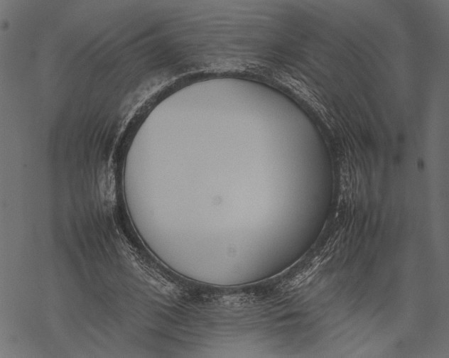 X0000077280584200611031527