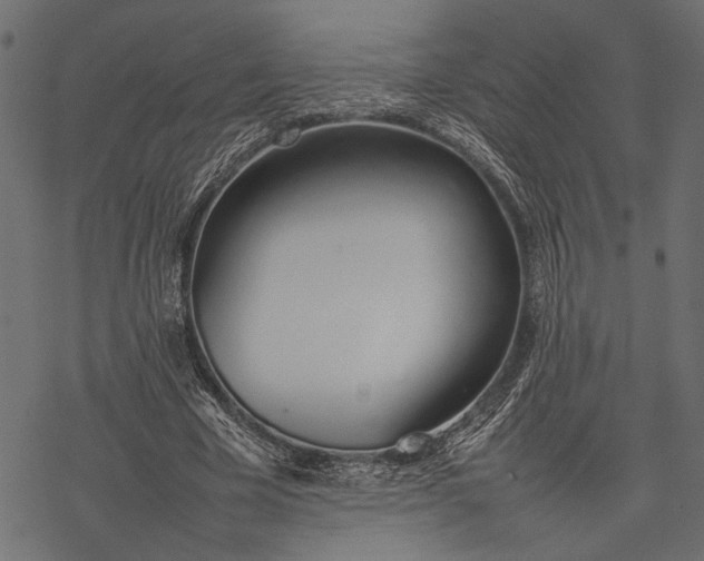 X0000077280585200611031527