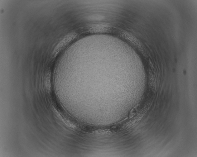 X0000077280586200611031527