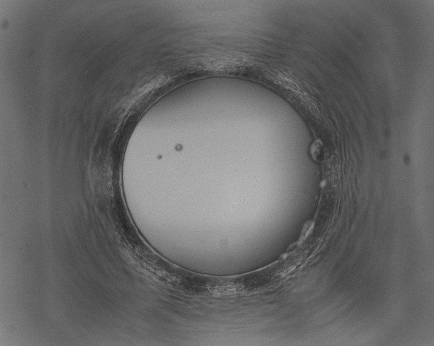 X0000077280587200611031527