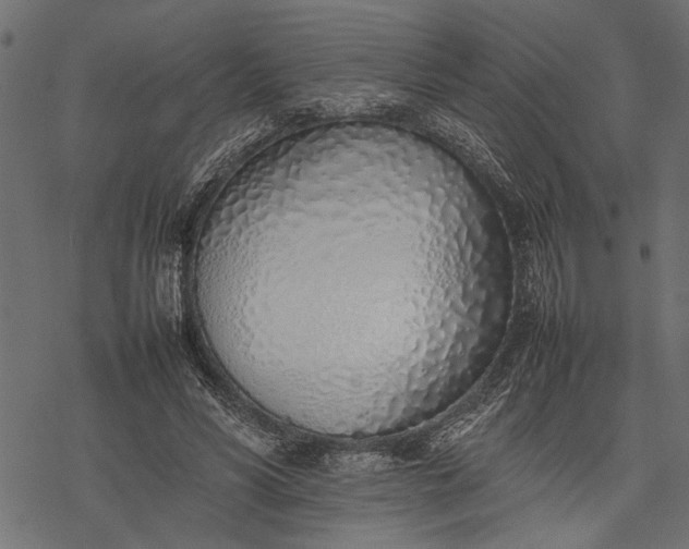 X0000077280590200611031527