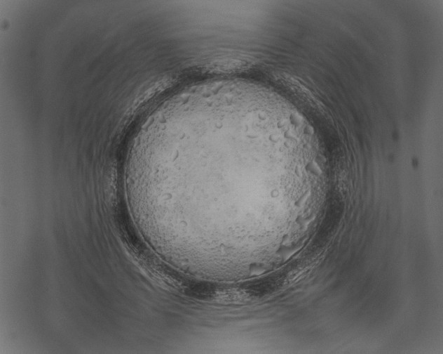 X0000077280591200611031527