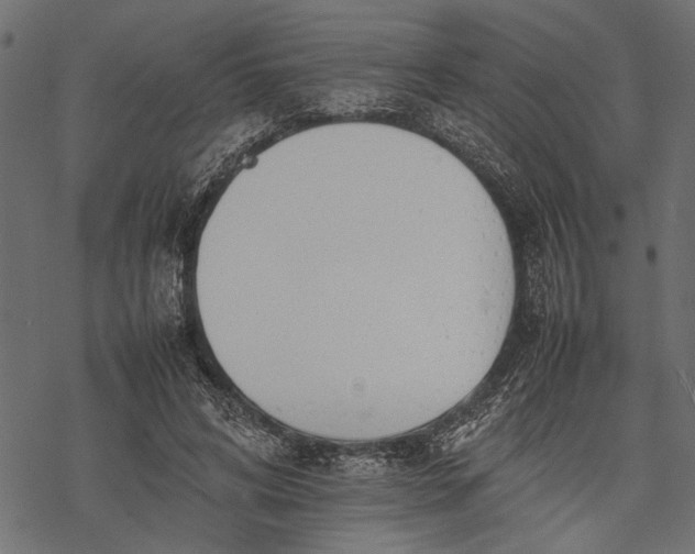 X0000077280592200611031527